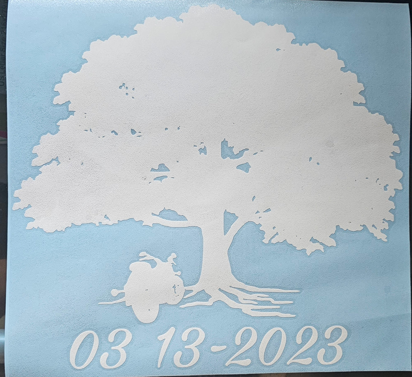 Custom Large Decal Designs