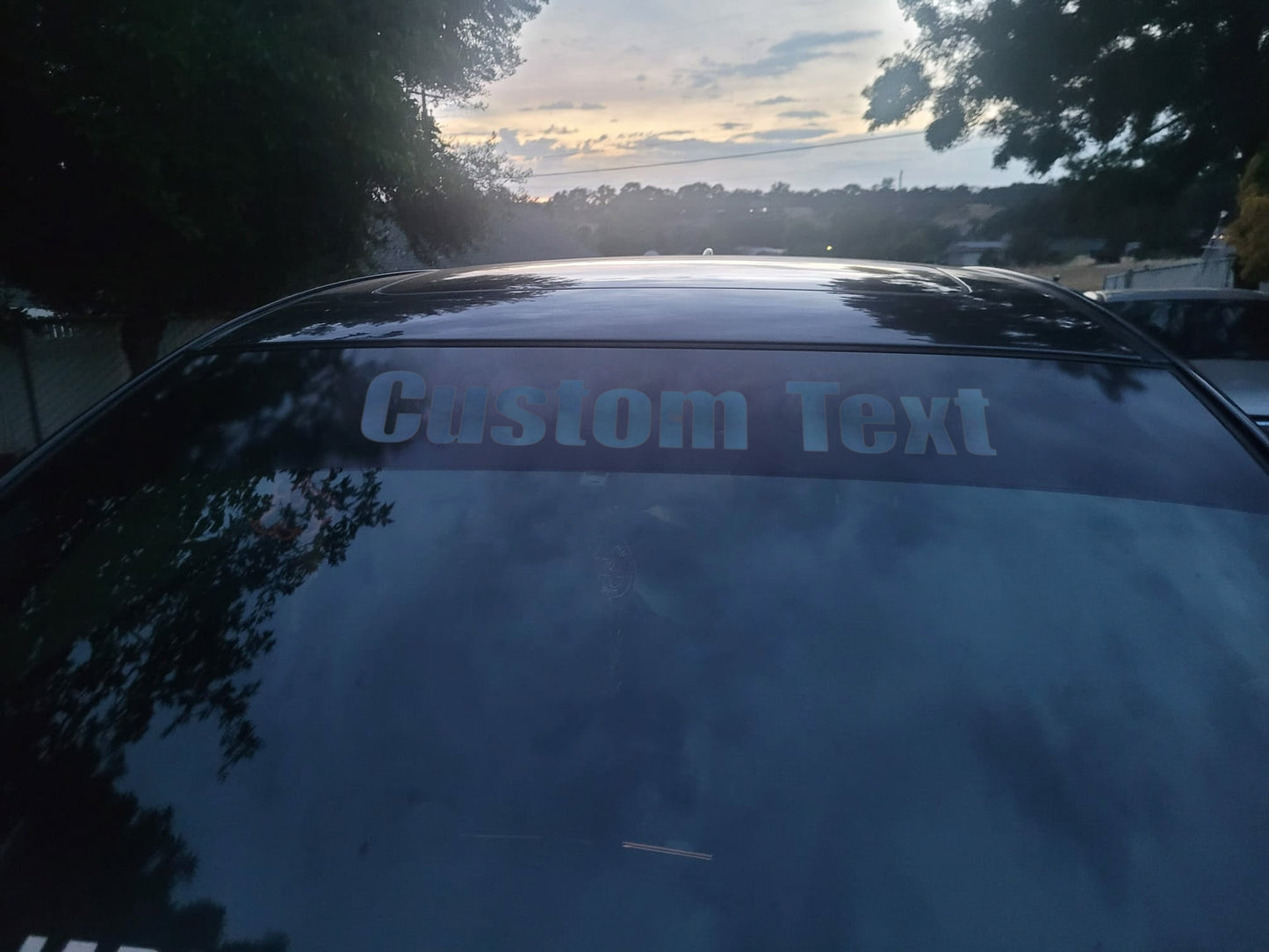 Custom Reverse Cut Banner