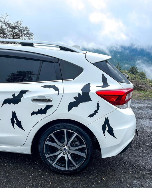 Custom Livery